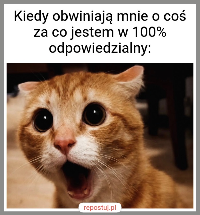 Mem