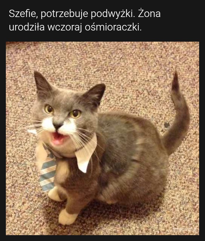 Mem