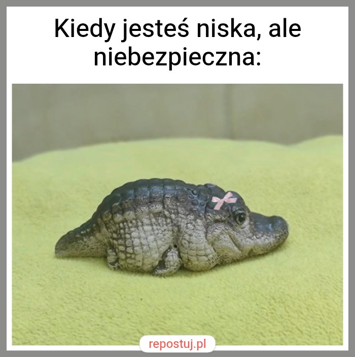 Mem
