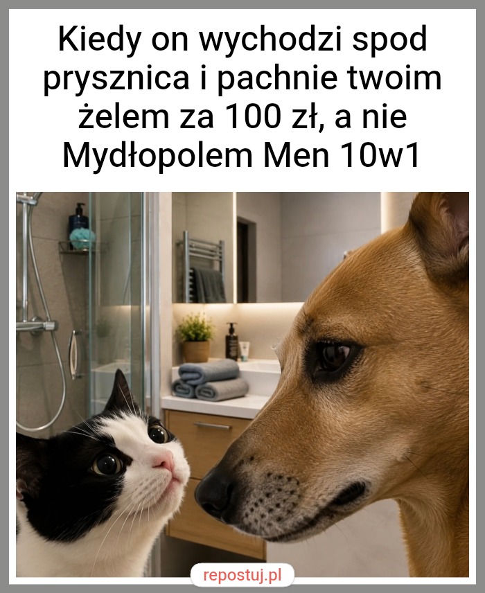 Mem