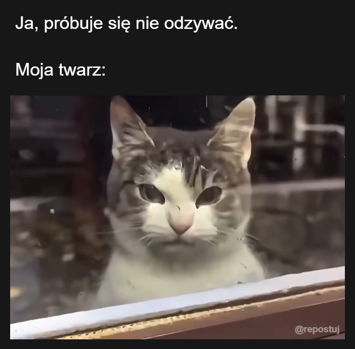 Mem