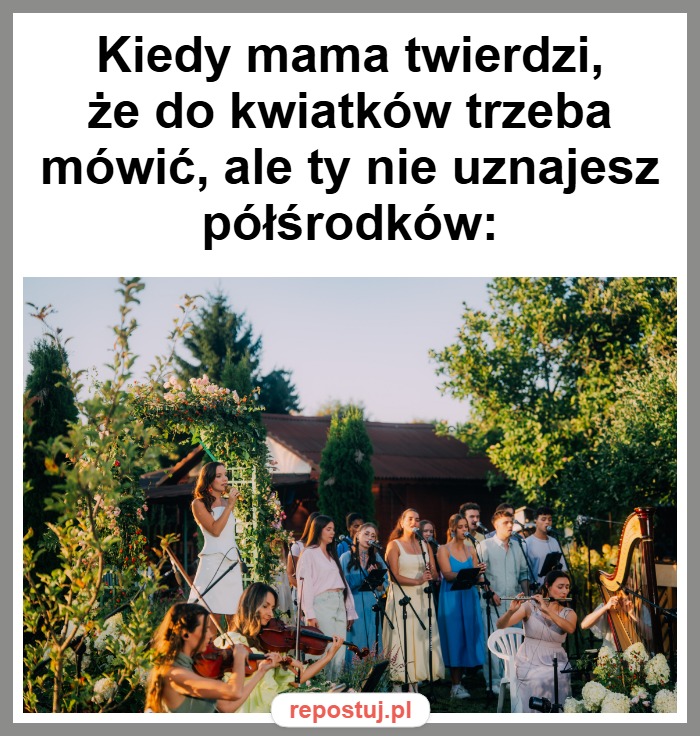 Mem